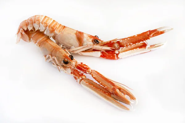 Cooked crawfish on white background — Stock Photo, Image