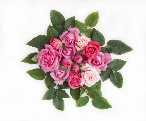 与天然玫瑰装饰花卉背景. — 图库照片
