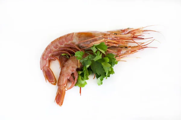 Dish with fresh prawns — Stock Photo, Image