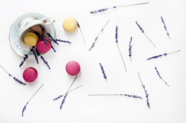 Kupası, macarons çerezleri ve lavanta çiçekleri beyaz arka plan üzerinde yaratıcı kompozisyon