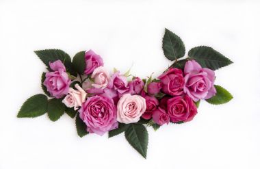 Beyaz zemin üzerine Güllü çerçeve çiçek.