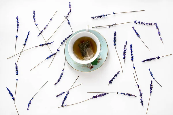 Творча композиція з чашкою з лавандовим чаєм та квітами лаванди на білому тлі — стокове фото