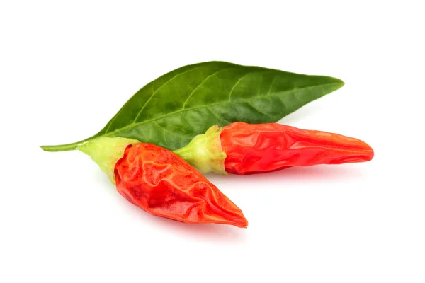 Dried chili peppers with leaves. — Stockfoto