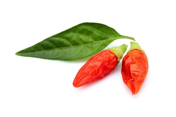 Dry red peppers with leaf. — Stock Photo, Image