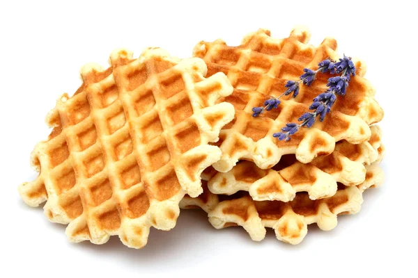 Waffle with a sprig of lavender isolated. — ストック写真