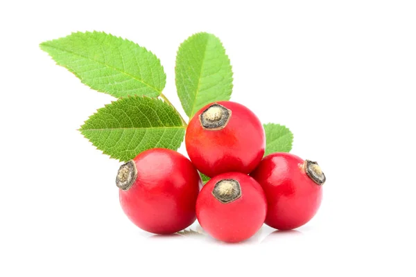 Rose hip with leaves isolated. — Stock Photo, Image