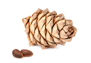 Çam fıstığı ve çam kozalağı izole.