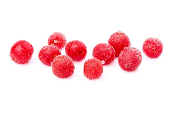 Frosne bær. Rød havtindved . – stockfoto