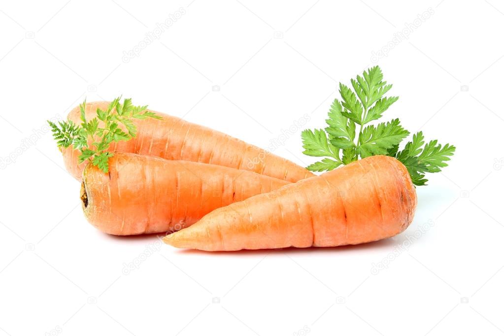 Three carrots with greens.