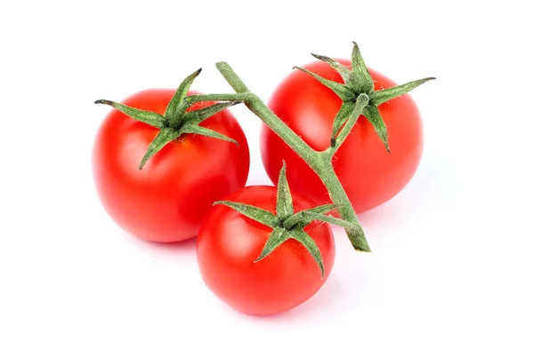 Tomatoes on a branch close up. — Stock Photo, Image