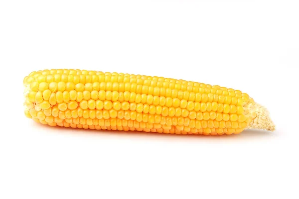 Вухо кукурудзи ізольоване . — стокове фото
