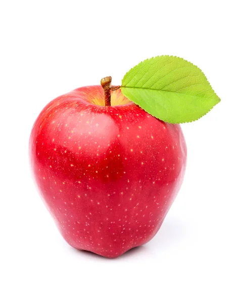 Red Apple Richard with leaf closeup isolated. — Stock Photo, Image