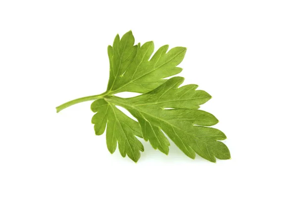 Leaf parsley close up isolated. — Stock Photo, Image