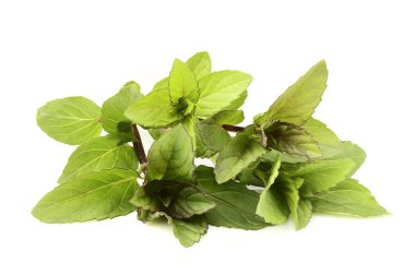 Taze nane izole kapatmak.