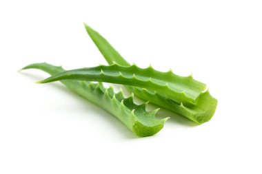vers blad Aloë vera geïsoleerd.