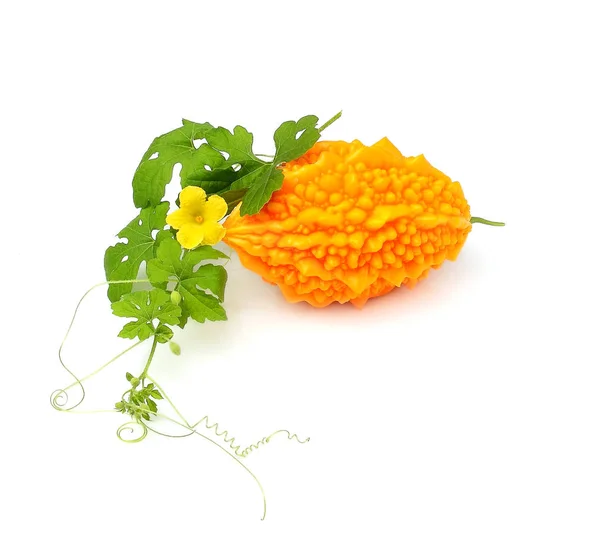 Yellow momordica (bitter melon) with leaves isolated. — Stock Photo, Image