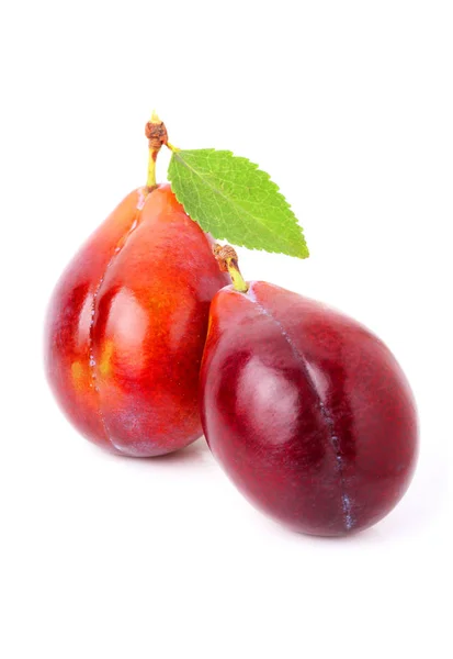 Two ripe red plums isolated. — Stock Photo, Image