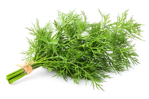 Bunch fresh dill closeup isolated. — Stock Photo, Image