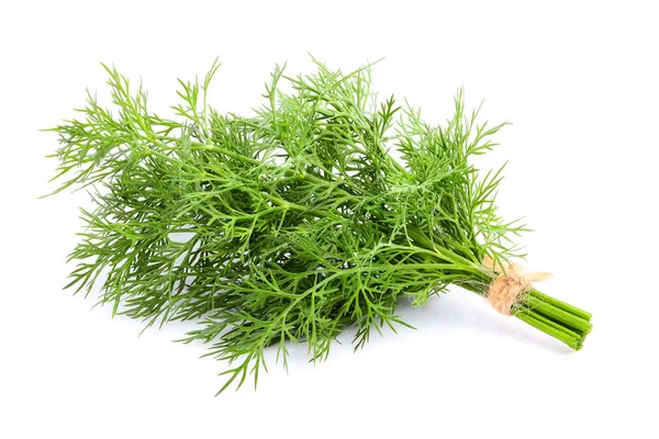 Fresh dill isolated close up. — Stock Photo, Image