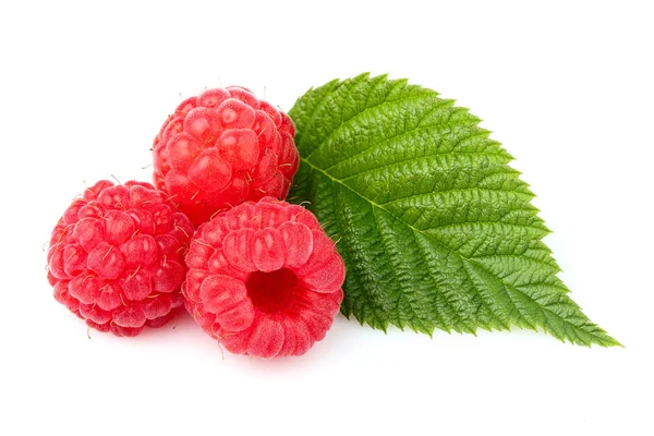 Raspberry with leaf isolated on white background. — Stock Photo, Image