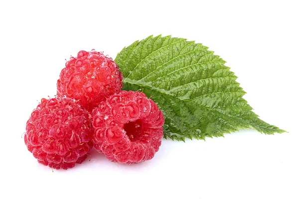 Raspberries with leaves in water isolated on white background. — Stock Photo, Image