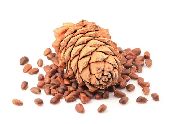 Pine nuts and ripe pine cone isolated. — Stock Photo, Image
