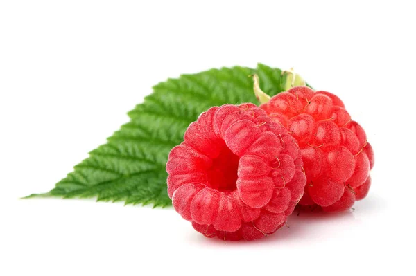 Raspberry with leaves closeup isolated. — Stock Photo, Image