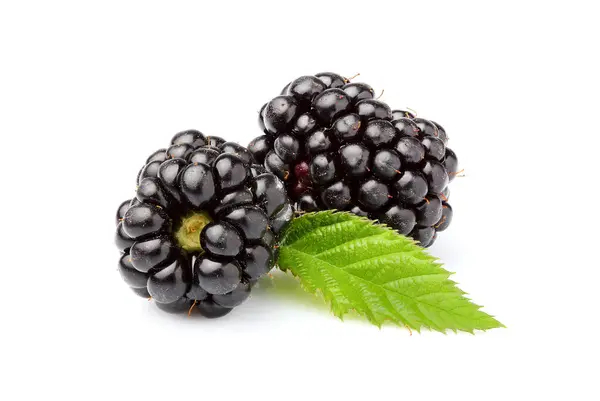 Fresh blackberries with leaf. — Stock Photo, Image