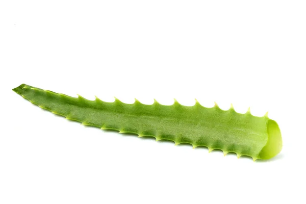 Świeży aloe vera liść na białym tle. — Zdjęcie stockowe
