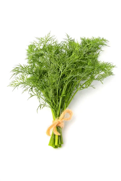 Bunch of dill isolated vertically. — Stock Photo, Image