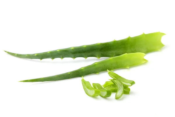 Aloe vera foglia fresca isolata primo piano su sfondo bianco . — Foto Stock