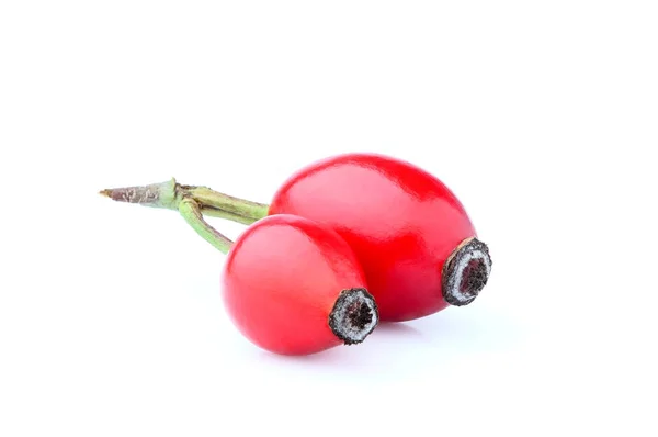 Closeup rose hip berries isolated. — Stock Photo, Image