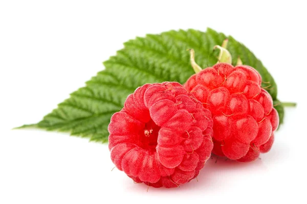 Raspberry with leaves macro closeup. — Stock Photo, Image