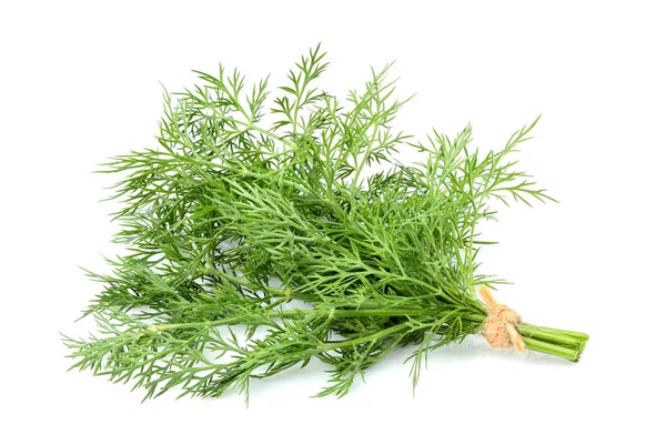 Dill tied in a bundle, isolated. — Stock Photo, Image