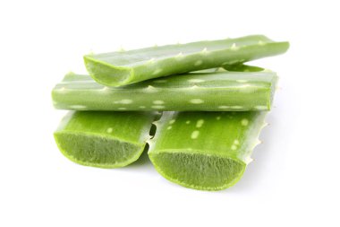 taze aloe vera yaprağı.