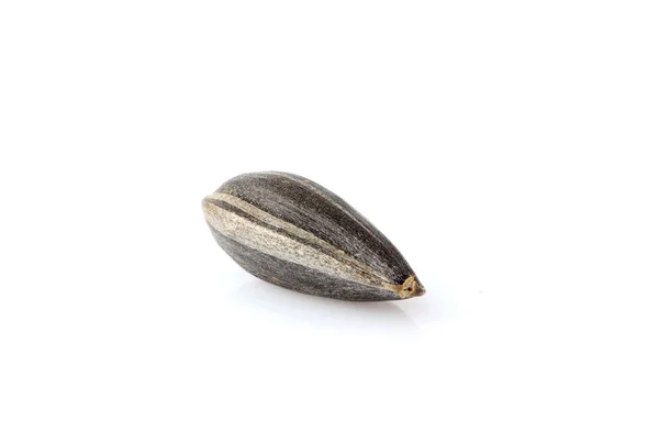 Sunflower seed isolated close- up. — Stock Fotó