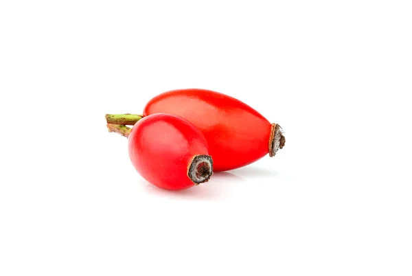 Rose hip berries isolated. — Stock Photo, Image