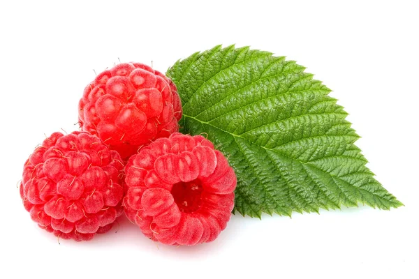 Fresh Raspberry with leaf . — Stock Photo, Image