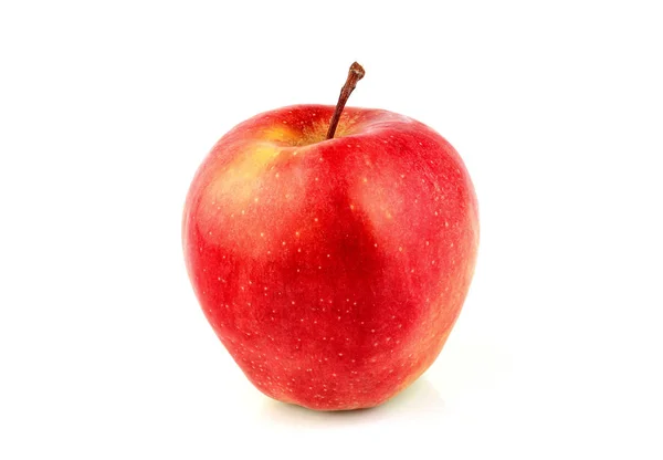 Ripe red apple isolated. — Stock Photo, Image