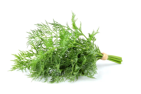 Bunch fresh dill closeup isolated. — Stock Photo, Image