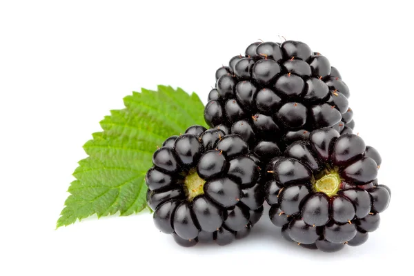 Fresh blackberry with leaf isolated. — Stock Photo, Image