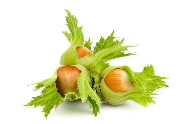 Group of hazelnuts with green leaves isolated. — Stock Photo, Image