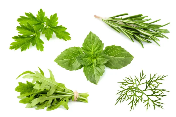 Fresh herbs on a white background. Royalty Free Stock Photos