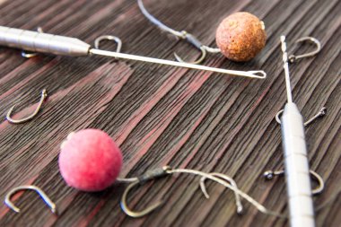 Sazan balıkçılık için hazırlanıyor.