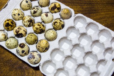 Ev grubu arasında bıldırcın yumurtası. Ekolojik ürün.