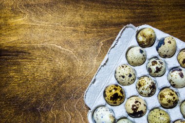 Ev grubu arasında bıldırcın yumurtası. Ekolojik ürün.