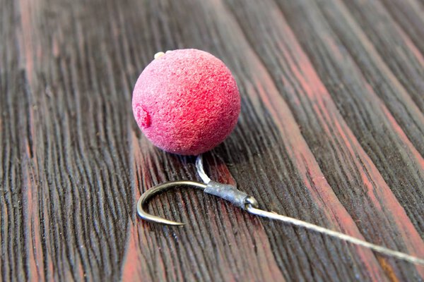 Preparing for carp fishing.