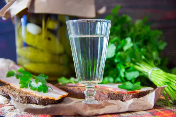 Aperitivo tradicional ucraniano e russo ao jantar. Comida ao beber álcool. Vodka e sanduíches com bacon, alho e picles . — Fotografia de Stock