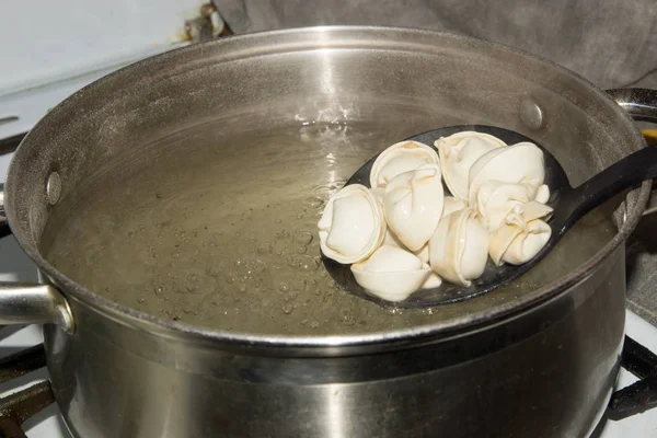 Dumplings stew in the pot with spices and the Bay leaf. — Stock Photo, Image