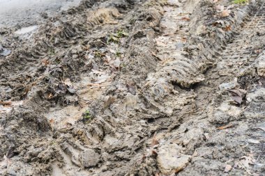 Lastik sırt, Kiralık tekerlekler çamur.